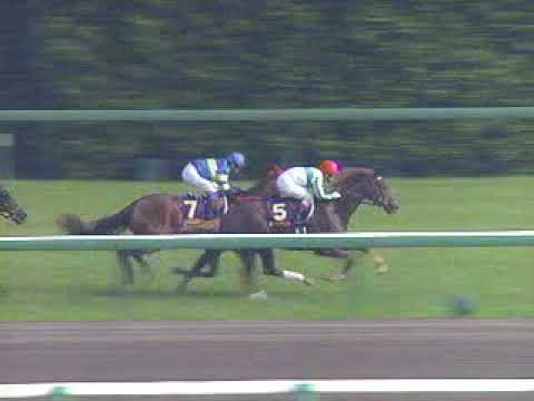 2002年 ノーリーズン 皐月賞 - YouTube