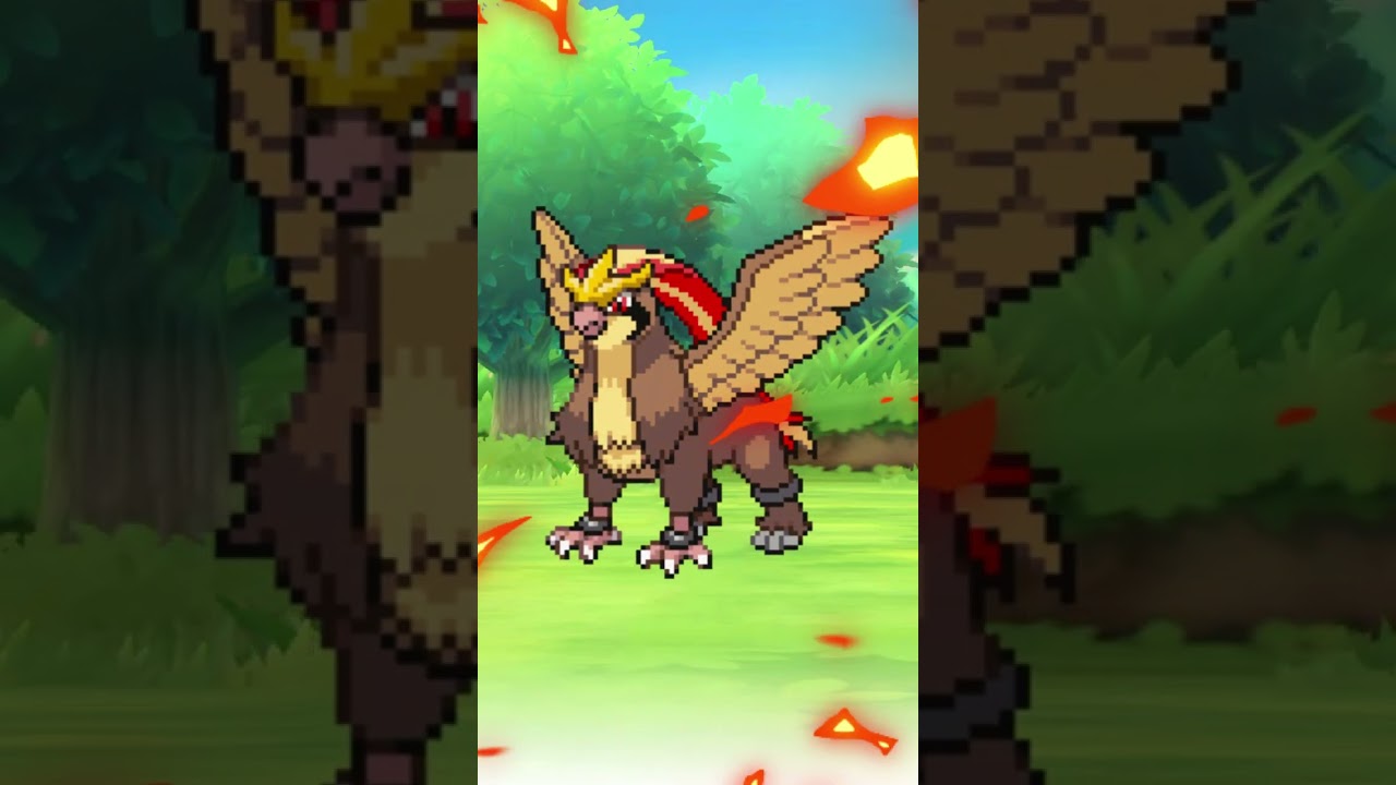 Top 5 Pidgeot Fusions!