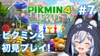 【初見さん歓迎】ピクミン4 初見プレイ 7 【ピクミン4】