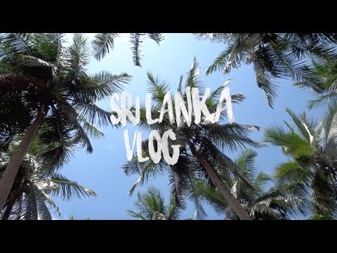 Video: Vacanze In Sri Lanka