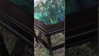 Unicorn SPiT on Glass HOMETALK LiVE Piece