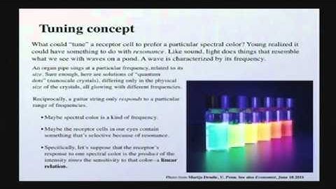 Physics of Human and Superhuman Vision, part 2/5