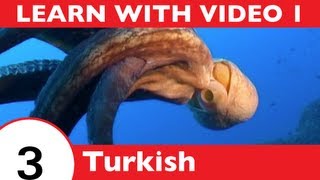 ⁣Learn Turkish with Video - TurkishClass101 Will Help Keep You Afloat with Marine Life Vocabulary!