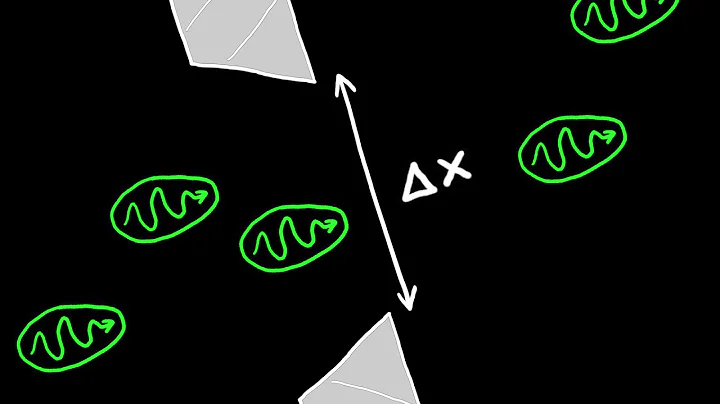 Heisenberg's Uncertainty Principle Explained