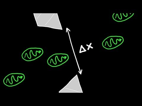 Heisenberg's Uncertainty Principle Explained