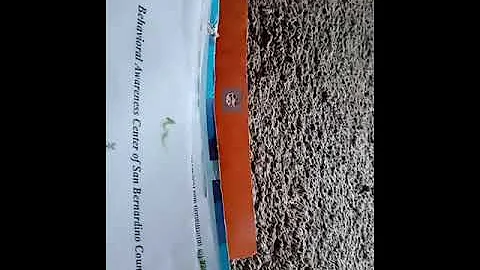 The supervised visitation " professionally supervised" welcome letter intro