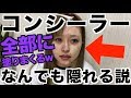 肌汚いやつがコンシーラー顔中に塗りまくった結果。
