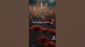 واصبر على ما يقولون واهجرهم هجرا جميلا تلاوه خاشعه ارح قلبك وعقلك #أطمئن #اسمعنا