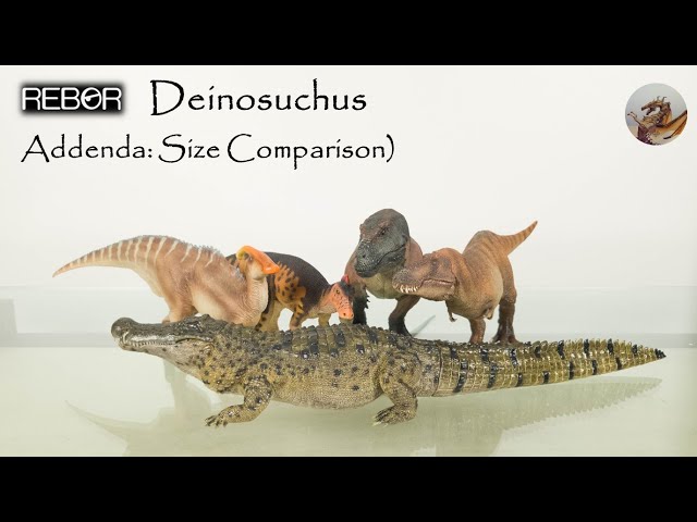 Rebor Deinosuchus Models