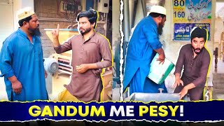 🌾 Gandum Me Pesy 💶 - Kisky Rakhy Huwe Thy? 😂 Wait For End 😂