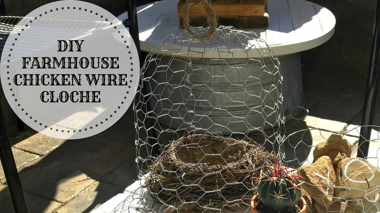 How to Make a DIY Garden Cloche + Gardening with Chickens - Rooted Revival