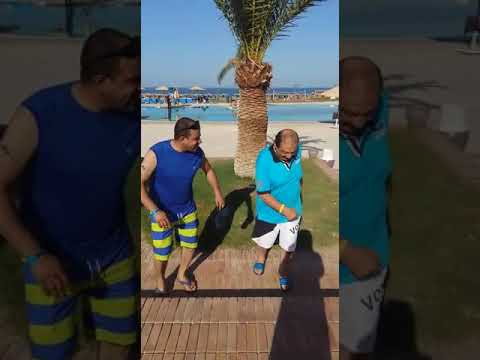 تيمو و حمدي باشا