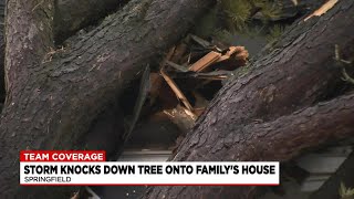 Springfield family displaced after tree falls on home during storm