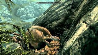 Skyrim: The most realistic physics I've ever seen.