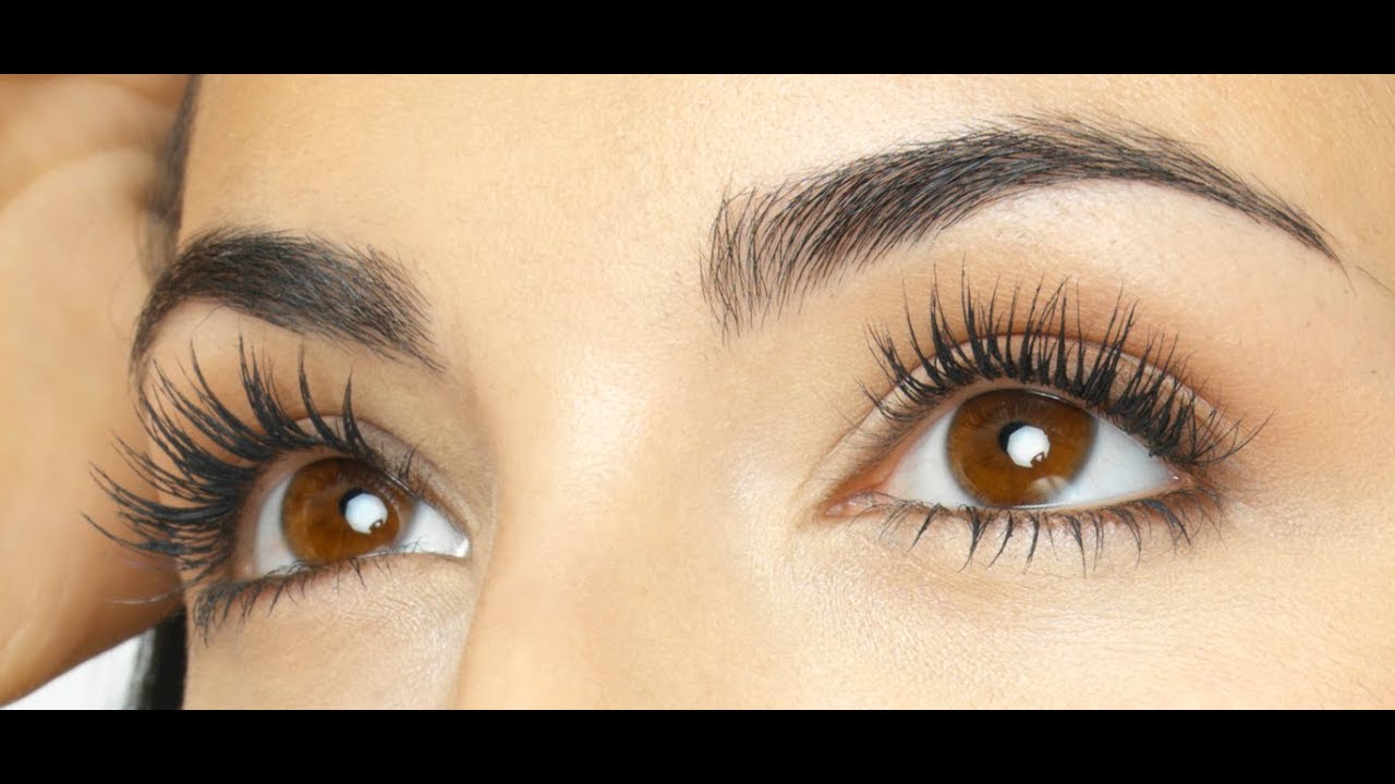 (W2S) Eyelashes keep eyes from drying 속눈썹 길이의 비밀 YouTube