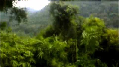 Đèo bảo lộc - lâm đồng