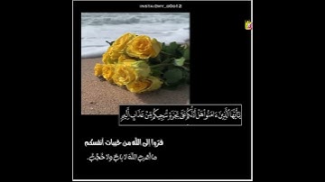 قران القارئ اسلام صبحي حالات واتساب مقاطع قصيرة ،يارب