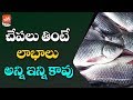 Fish Benefits For Health And Skin | Fish Side Effects | Latest Health Tips Telugu | YOYO TV Health