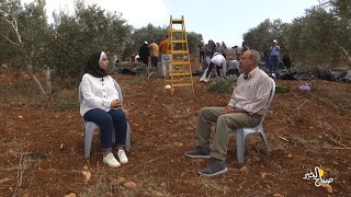 كيف حال موسم الزيتون في جنين لهذا العام؟