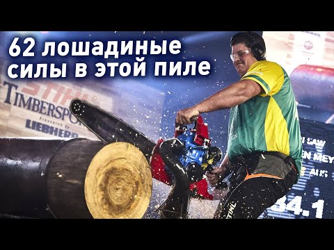 видео: ЧЕМПИОНАТ МИРА ПО РАСПИЛУ ДЕРЕВА НА СКОРОСТЬ