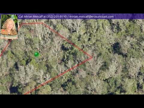 4465 S Lewoods Drive, Homosassa, FL home video tour