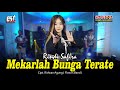 Rindi Safira - Mekarlah Bunga Terate | Sagita Djandhut Assololley | Dangdut (Official Music Video)