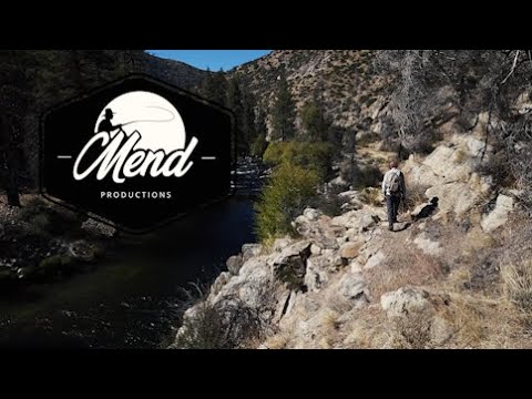 Lansing fly fishing Kings River in Kings Canyon, June 20-24, 2022