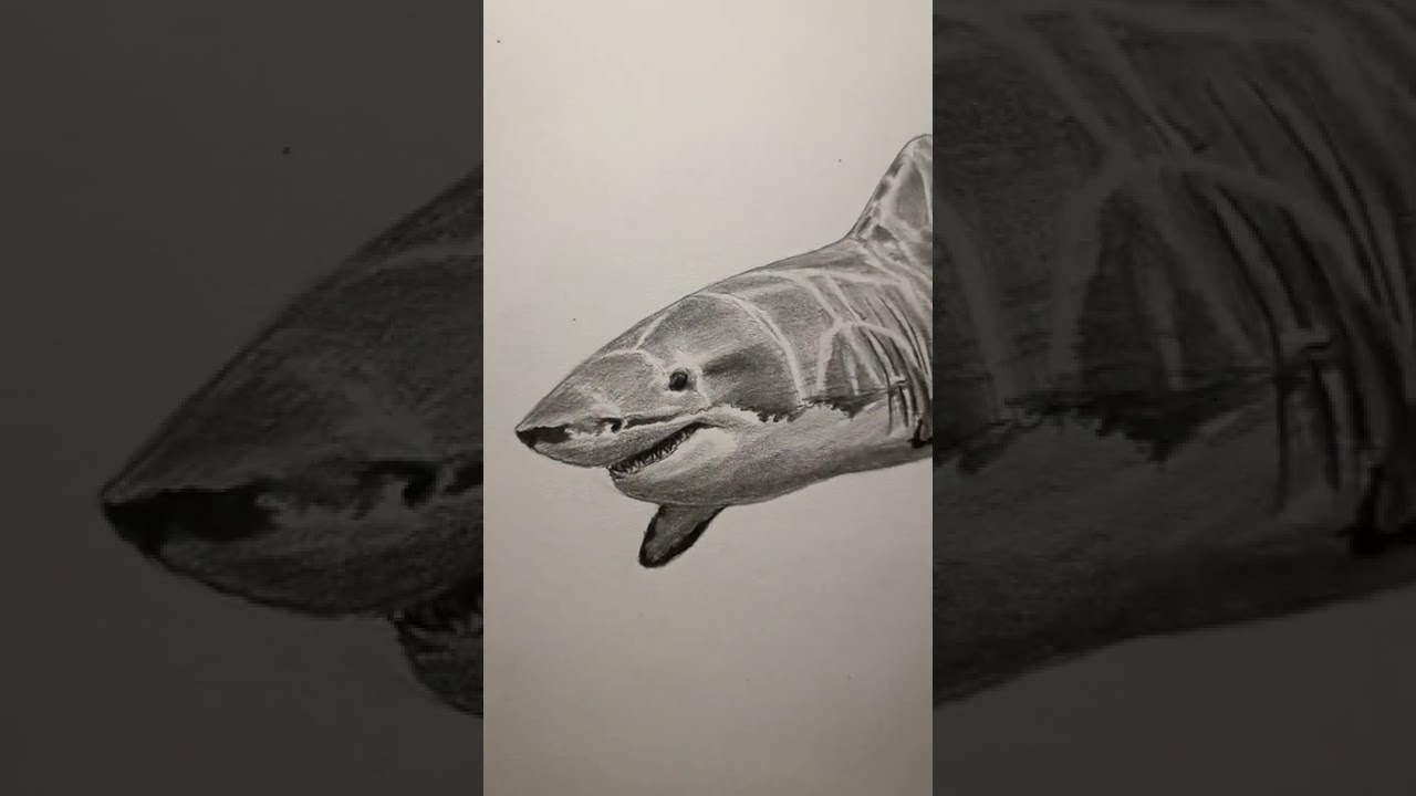 Giga Gru vs Shark but he's 💀