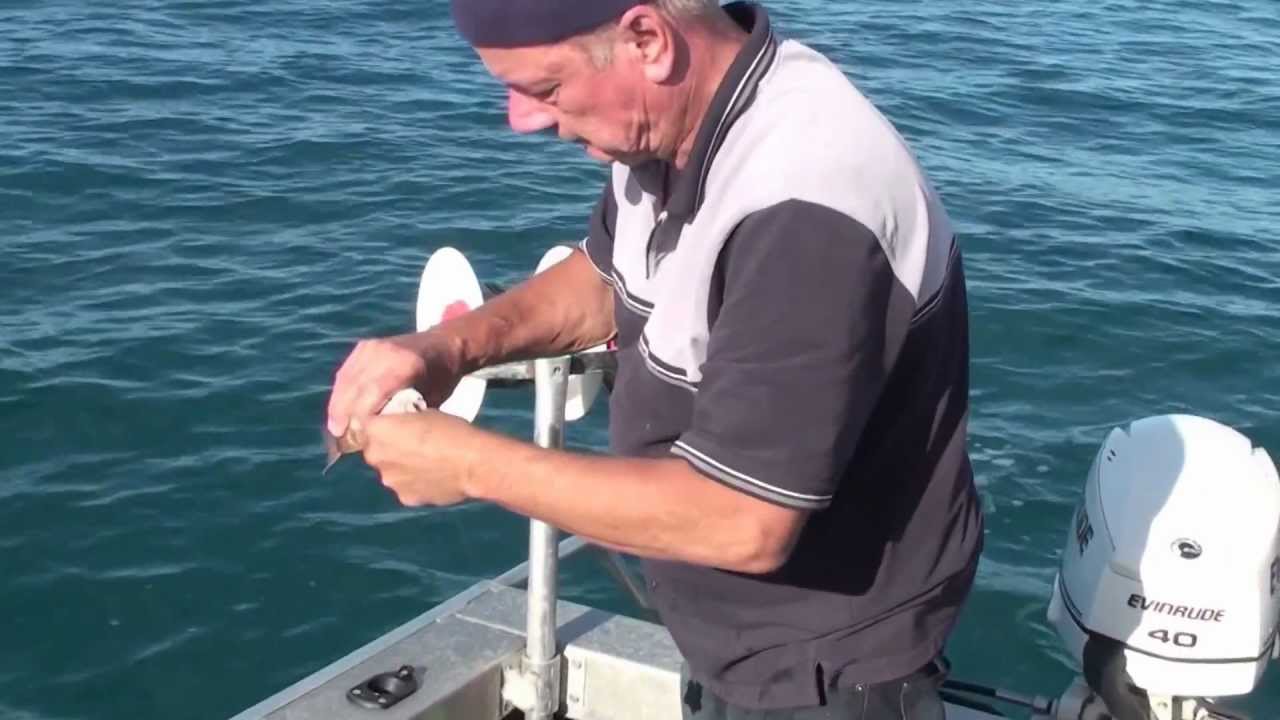 Long Line Fishing For Snapper Floating Bead Traces YouTube