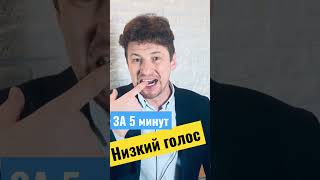 Низкий голос. Упражнения для голоса. Дикторский голос. Как понизить голос? #речь #оратор #дикция