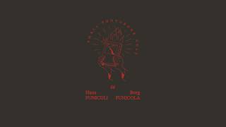 66 - Hans Borg - FUNICULÌ FUNICULÀ