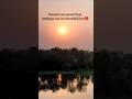 Sunsets🌻❣️#yt #viral #shorts#video #nature #trending #day(3/254) #life #love #motivation #sad #song