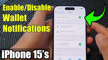 iPhone 15/15 Pro Max: How to Enable/Disable Wallet Notifications