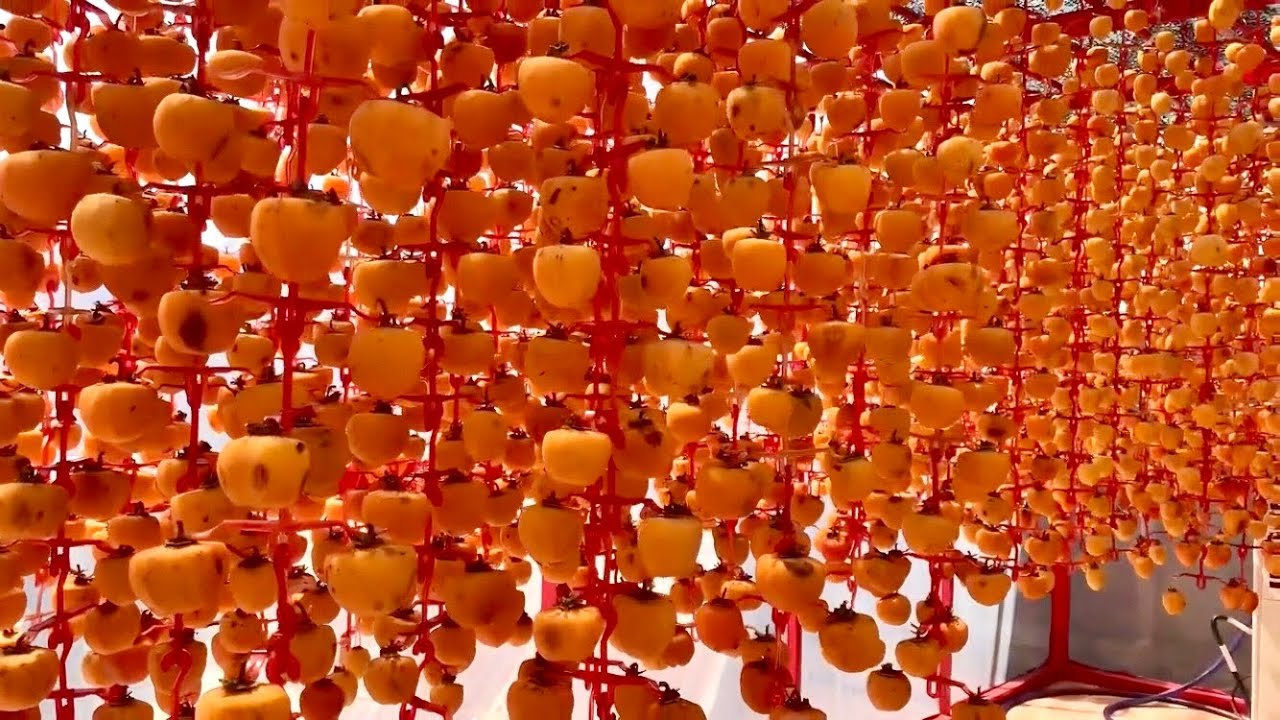 HỒNG TREO GIÓ đặc sản Đà Lạt.