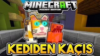 SALDIRGAN KEDİ PEŞİMİZDE!! | Minecraft PE Kediden Kaçış [Parkur Haritası]