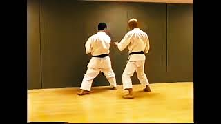 20 - Chudan Maegeri Uke - Gyakuzuki Nihonme