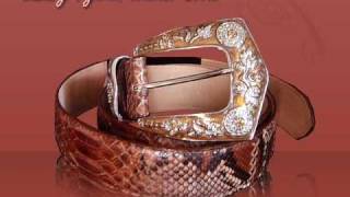 Celebrity Fashion accessories: Luxury python belts collection Net Worth