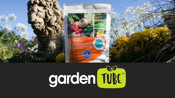 Boost Your Plants with Nutrifeed