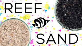 Digging Deep into Sand: What YOU Need to Know About Substrate!