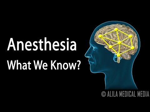 Neuroscience Basics: Anesthesia, How it Works, Animation.