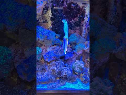 We Took A Visit To Spyderco!