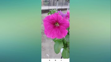 Redmi Note 9 Pro Delete Photo Recovery Setting