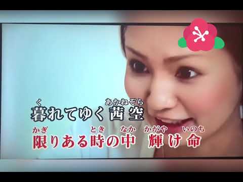 夏疾風/嵐     歌詞付き カラオケ【練習用】
