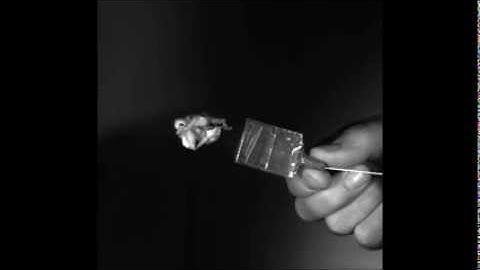 Slow Motion Video - Party Popper