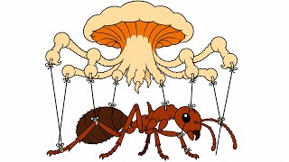 This Ant Is Alive. But Something Else Is Driving.