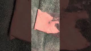 Gritty Chewing Sand Improved Audio