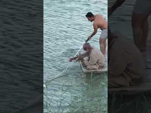 صيد سمك الخشني ابو خريزه مع شيخ الصيادين ابو فارس