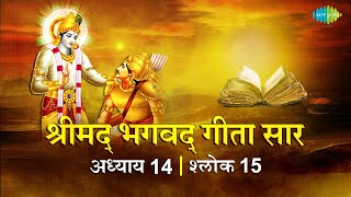 भगवद गीता सार अध्याय 14 श्लोक 15 with lyrics | Bhagvad Geeta Chapter 14 sholk 15| Shailendra Bharti