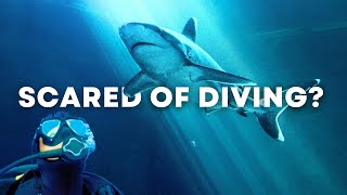 How You Can Deal With Stress & Anxiety In Scuba Diving