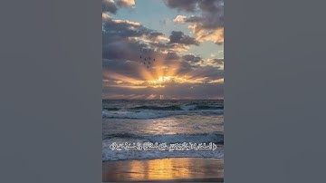سورة الفرقان 💗